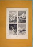 Cloud Clouds Cirrus Comunlus Nimbus Stratus Antique