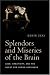 Splendors and Miseries of the Brain: Love, Creativity and the Quest for Human Happiness
