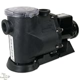 W. Lim Corp. Dragon Series 2hp Pump
