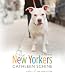 The New Yorkers at Amazon Books: 41R%2BeUheP2L._SL75_