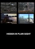 Hidden in Plain Sight (Home Use)