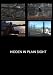 Hidden in Plain Sight (Home Use)