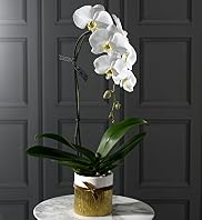 Autograph™ Single Cascade Orchid