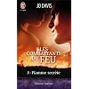 COMBATTANTS DU FEU T.03 (LES) : FLAMME SECR�TE