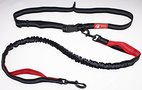 Premium Quality Hands Free Dog Leash - Pet Leash. Adjustable Reflective Waist Belt and Dual Handle 48" Bungee Leash. Excellent for Walking and Running with your Dog.