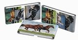 41R ZKMMMrL. SL160  Got Yo Gifts Fun Flags Self Stick Adhesive Page Markers Horse