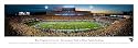 West Virginia University College 37.5 x 9 Framed or Unframed Panoramic Wall Decoration