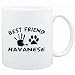 Mug White " MY BEST FRIEND IS MY Havanese " Dogs