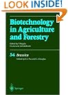 Brassica (Biotechnology in Agriculture and Forestry)
