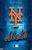 New York Mets Logo 2011 Poster Poster Print, 22x34