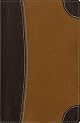 Archaeological Study Bible (New International Version)