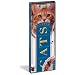 Fandex Family Field Guides: Cats