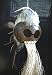 Large Hawaiian Natural Ikaika Warrior Helmet