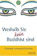 Weshalb Sie kein Buddhist sind