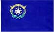 Nevada US State Flag - 3 foot by 5 foot Polyester (NEW)