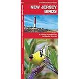 Birds of New Jersey Field Guide: Stan Tekiela: 9781885061898: Amazon