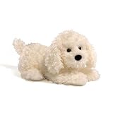 Cheap  dog-Enesco Yappie 7.5