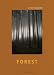 Jitka Hanzlova: Forest