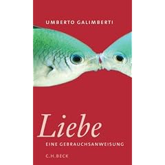 Die Liebe. Eine Gebrauchsanweisung (Gebundene Ausgabe)