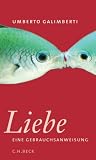 Die Liebe: Eine Gebrauchsanweisung - Umberto Galimberti