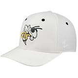 Zephyr Georgia Tech Yellow Jackets White Flurry Fitted Hat