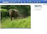 Encarta Enzyklop�die Standard 2005 CD - 