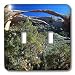 Sandy Mertens Utah - Landscape Arch Canvas at Arches Natural Park - Light Switch Covers - double toggle switch