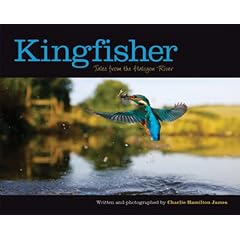 Kingfisher: Tales from the Halcyon River