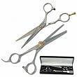 Ninja Swordsman 6-1/2" Duo Shear Set