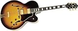 Hollow Body Electric Guitars