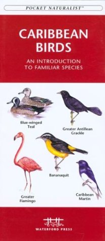 City Travel Guides Discounted  Books : Caribbean Birds: An Introduction to Familiar Species