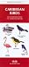 Caribbean Birds: An Introduction to Familiar Species