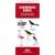 Caribbean Birds: An Introduction to Familiar Species