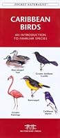 Caribbean Birds: An Introduction to Familiar Species