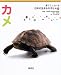 カメ (育てて、しらべる日本の生きものずかん)