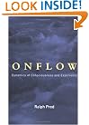 Onflow: Dynamics of Consciousness and Experience (Bradford Books)