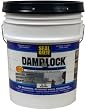 Damplock Concrete Waterproofing Paint 5-Gallon