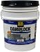 Damplock Concrete Waterproofing Paint 5-Gallon