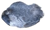Jackdaw Scalp
