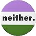 Genderqueer Non-Binary Gender Queer Expansive Flag NEITHER 2.25