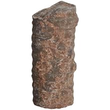 American Educational Crinoid Stems Echinoderm, 10 Pieces