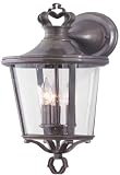 Britannia Collection 18 1/2 High Outdoor Wall Light