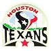 Search : Houston Texans Glossy Team Pin (Set of 2)