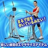 スカイウォーカー IMC-18