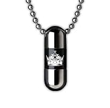 NHL Los Angeles Kings Dream Capsule