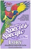 Pretty Bird Lory Special 20#
