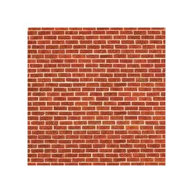 Savage 8x8' Floor Drop, Red Brick
