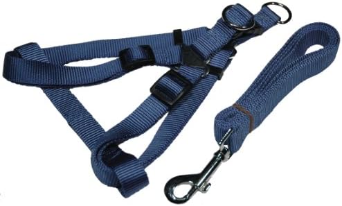 Dog Harness and Leash Set, 3/4 Inch Halter Style, Large in Blue By Zone 70