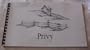 Privy: The Classic Outhouse Book