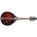 Stagg M-50 E Bluegrass E-Mandoline